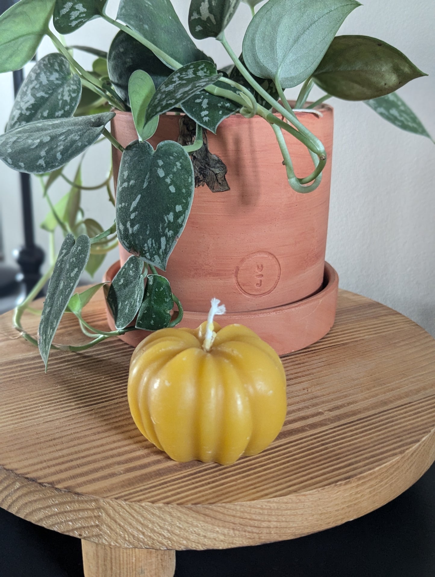 Small Pumpkin